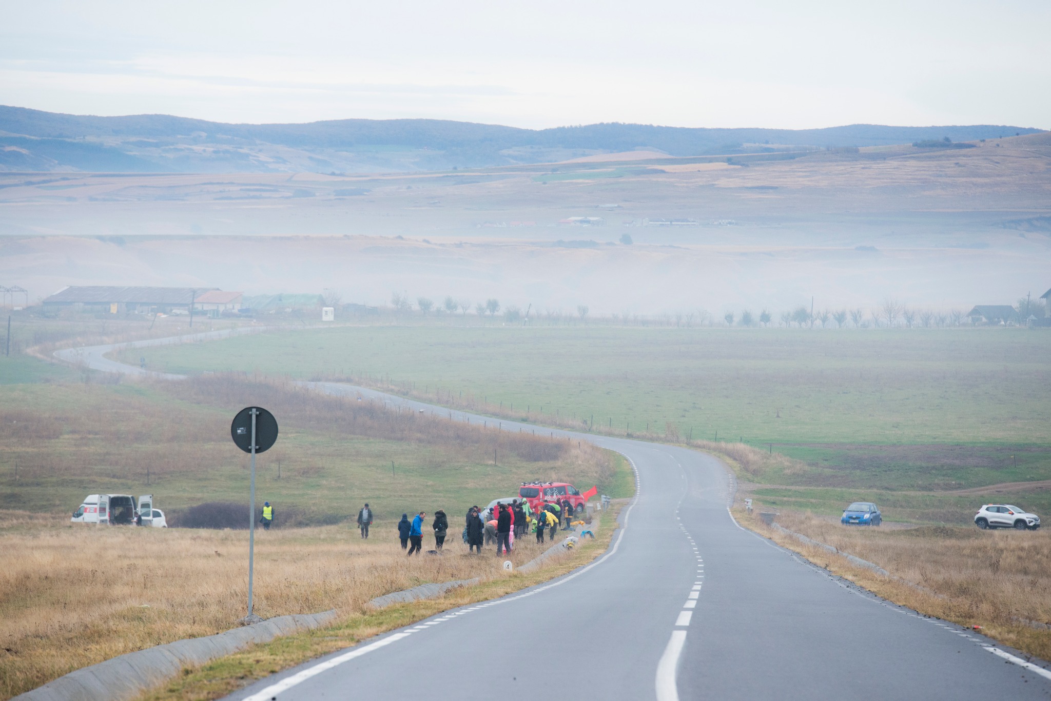 Plantare Ocna Sibiului 21